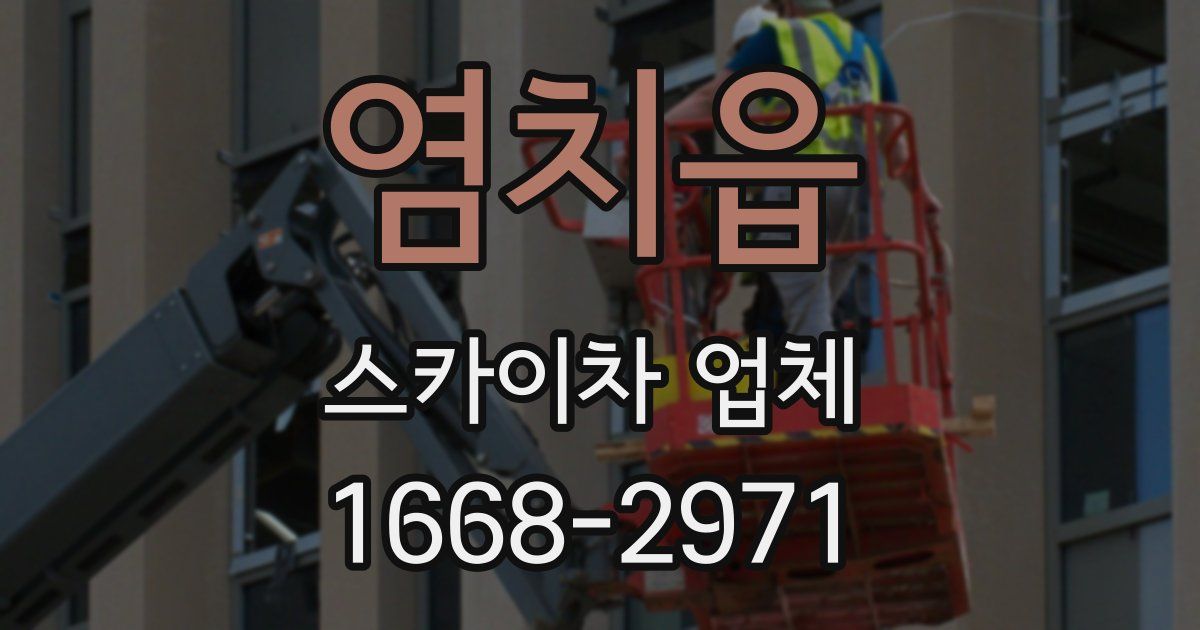 염치읍 스카이차 업체