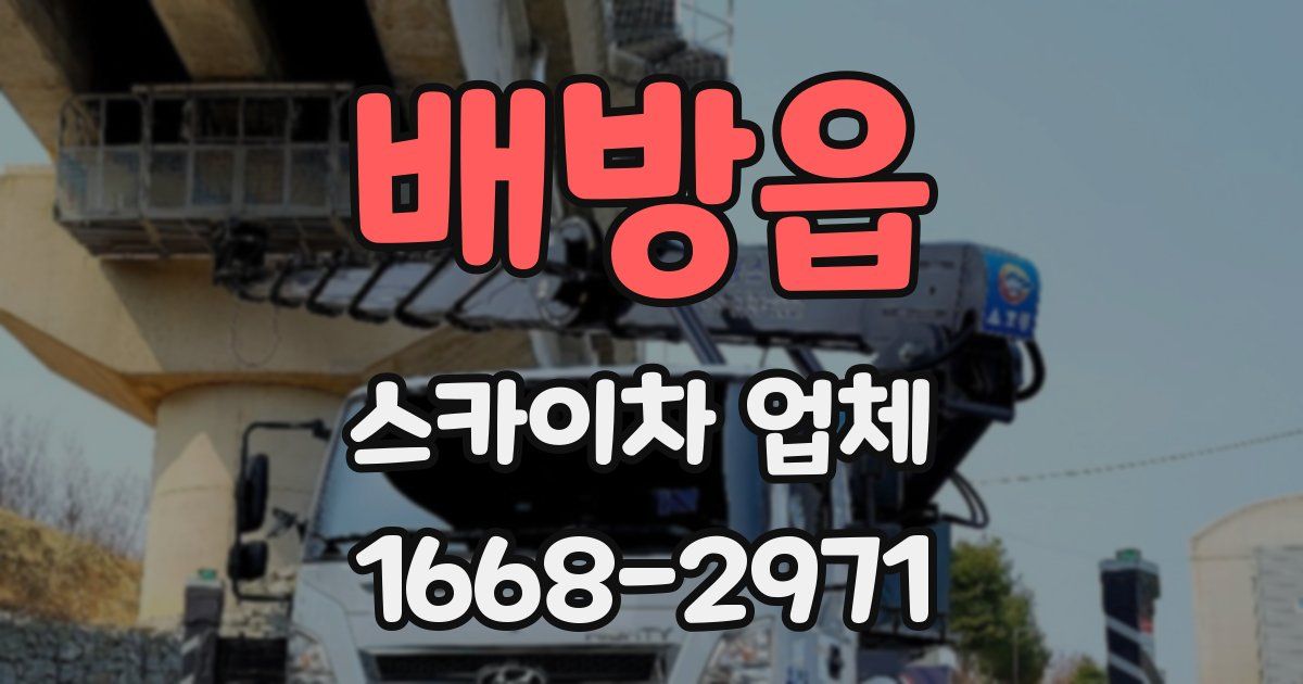 배방읍 스카이차 업체