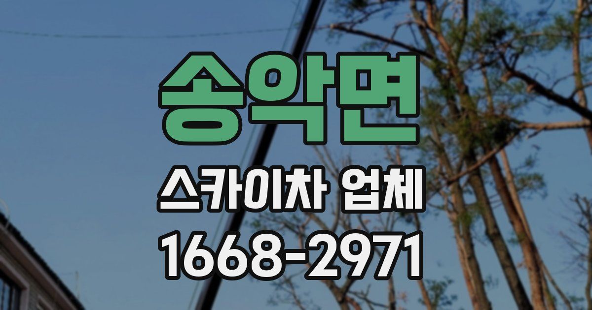 송악면 스카이차 업체