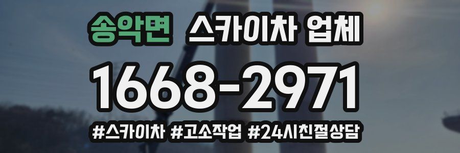 송악면 스카이차 업체