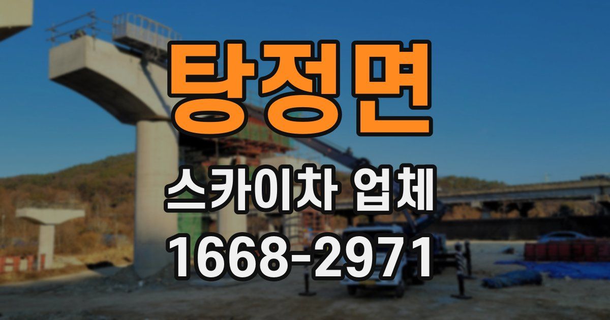 탕정면 스카이차 업체