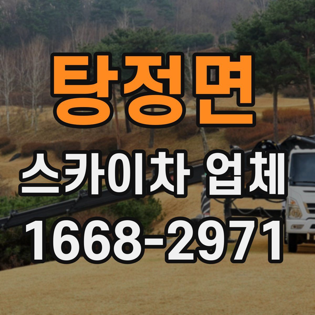 탕정면 스카이차 업체