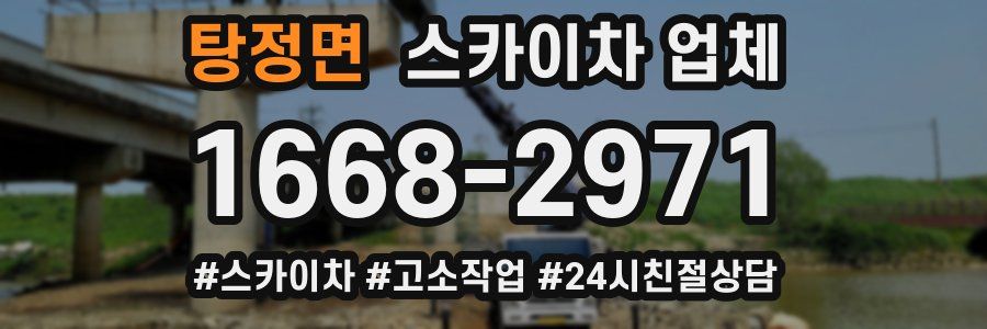 탕정면 스카이차 업체
