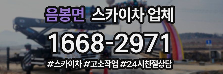 음봉면 스카이차 업체