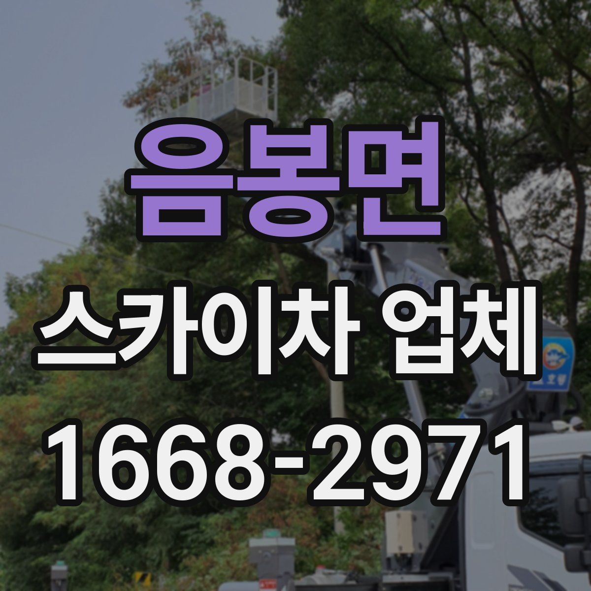 음봉면 스카이차 업체