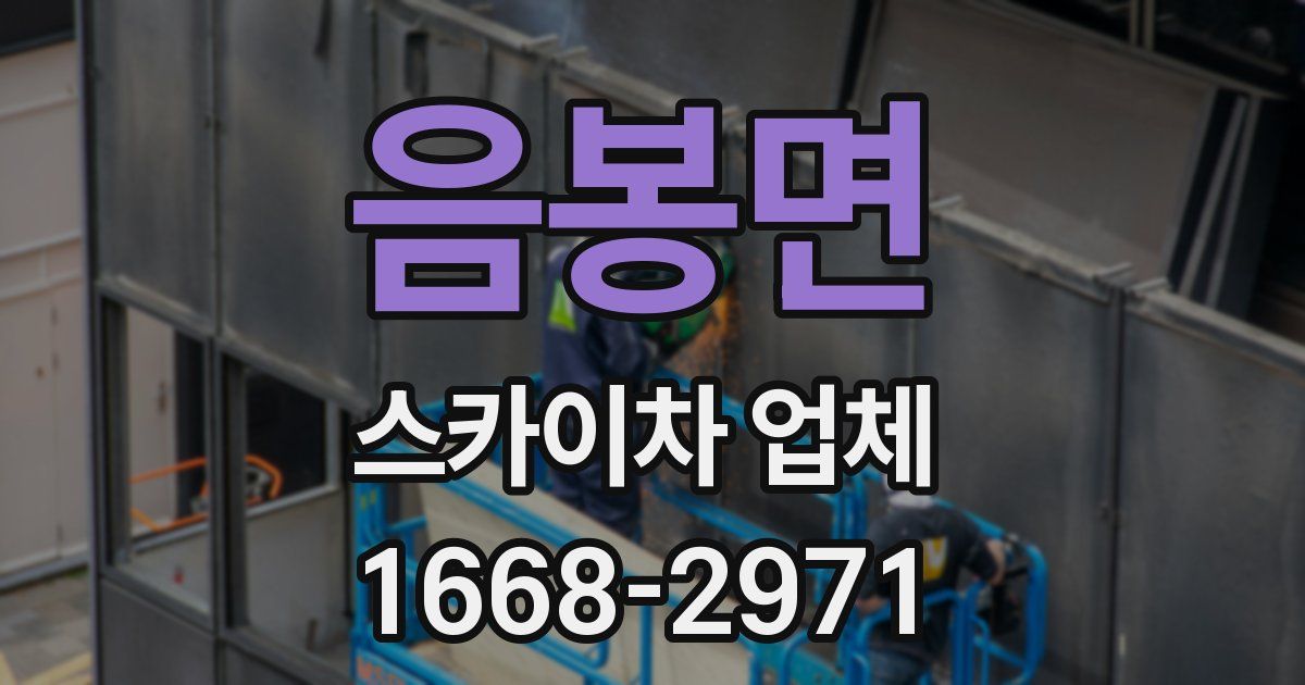 음봉면 스카이차 업체