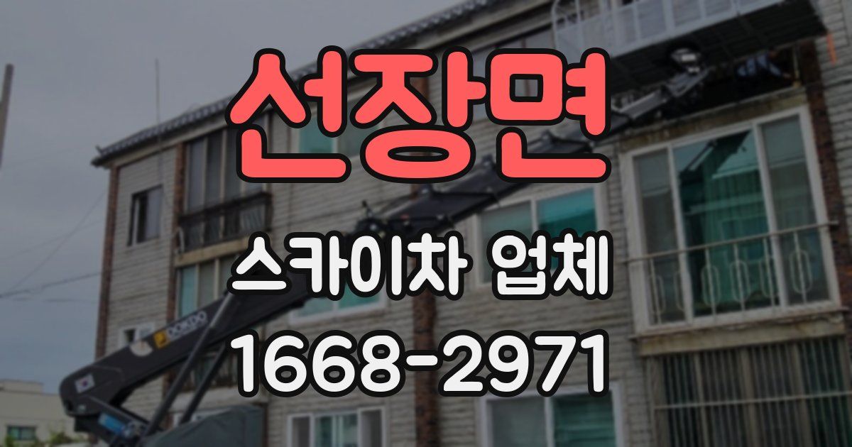 선장면 스카이차 업체
