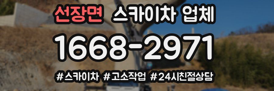 선장면 스카이차 업체