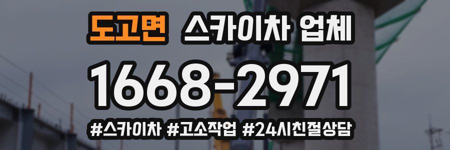 도고면 스카이차 업체