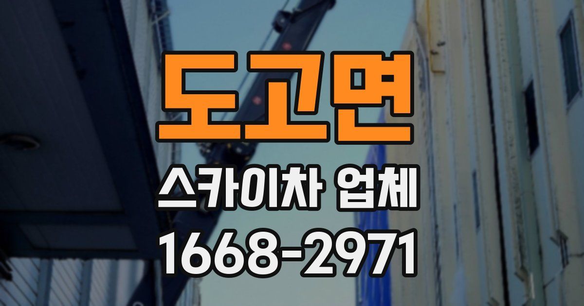 도고면 스카이차 업체