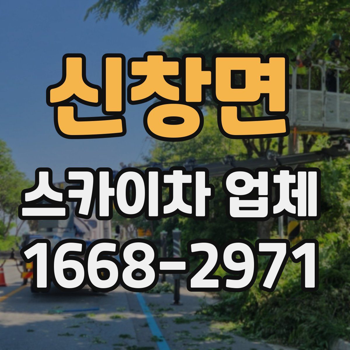 신창면 스카이차 업체