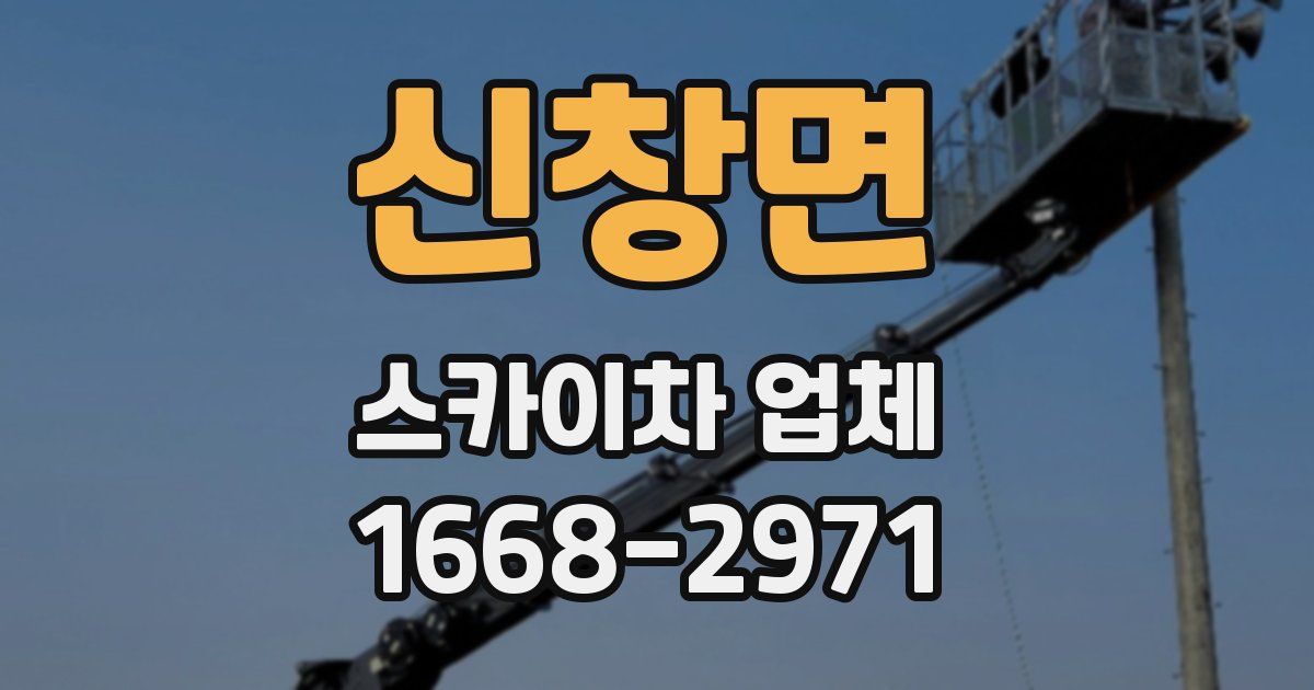 신창면 스카이차 업체