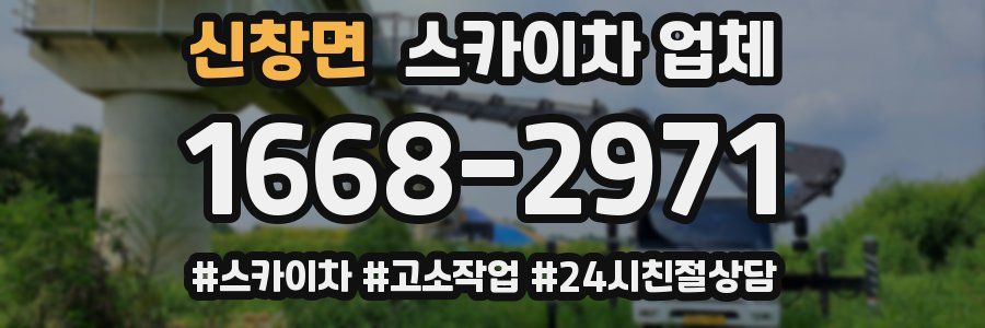 신창면 스카이차 업체