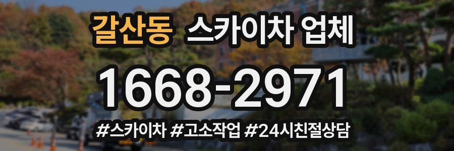 갈산동 스카이차 업체