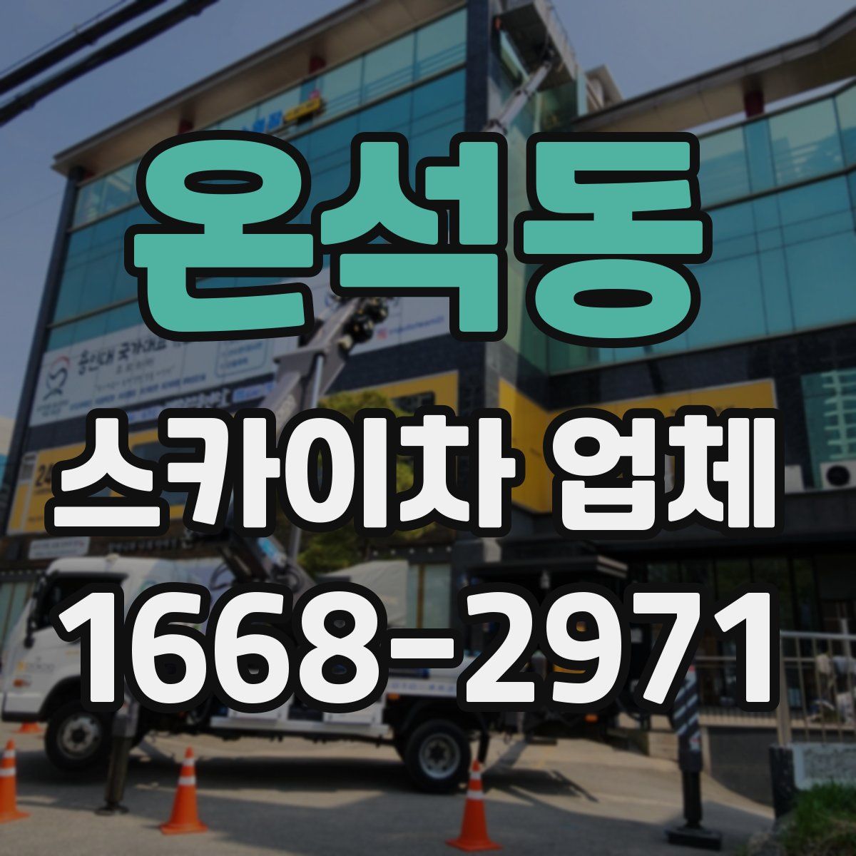 온석동 스카이차 업체