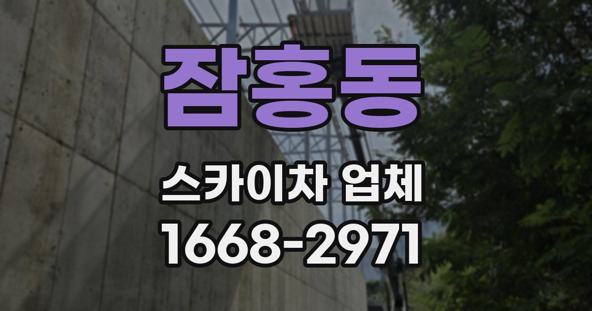 잠홍동 스카이차 업체
