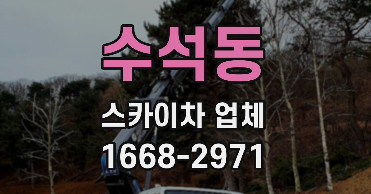 수석동 스카이차 업체