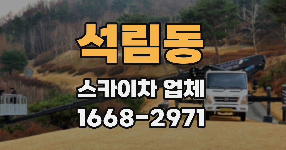 석림동 스카이차 업체