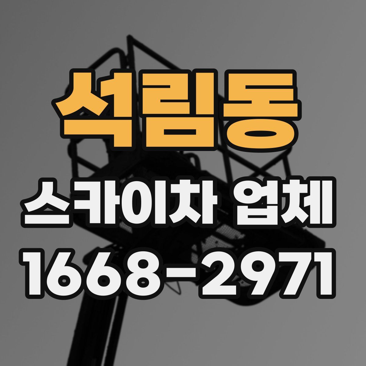 석림동 스카이차 업체