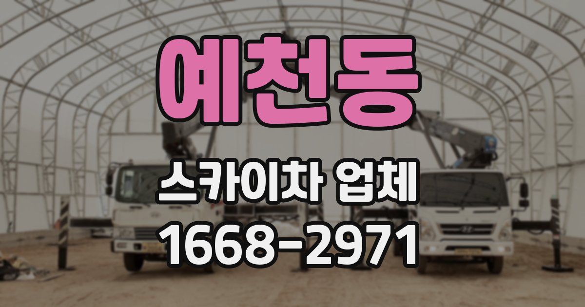 예천동 스카이차 업체