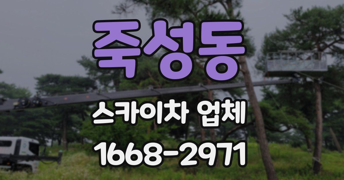 죽성동 스카이차 업체