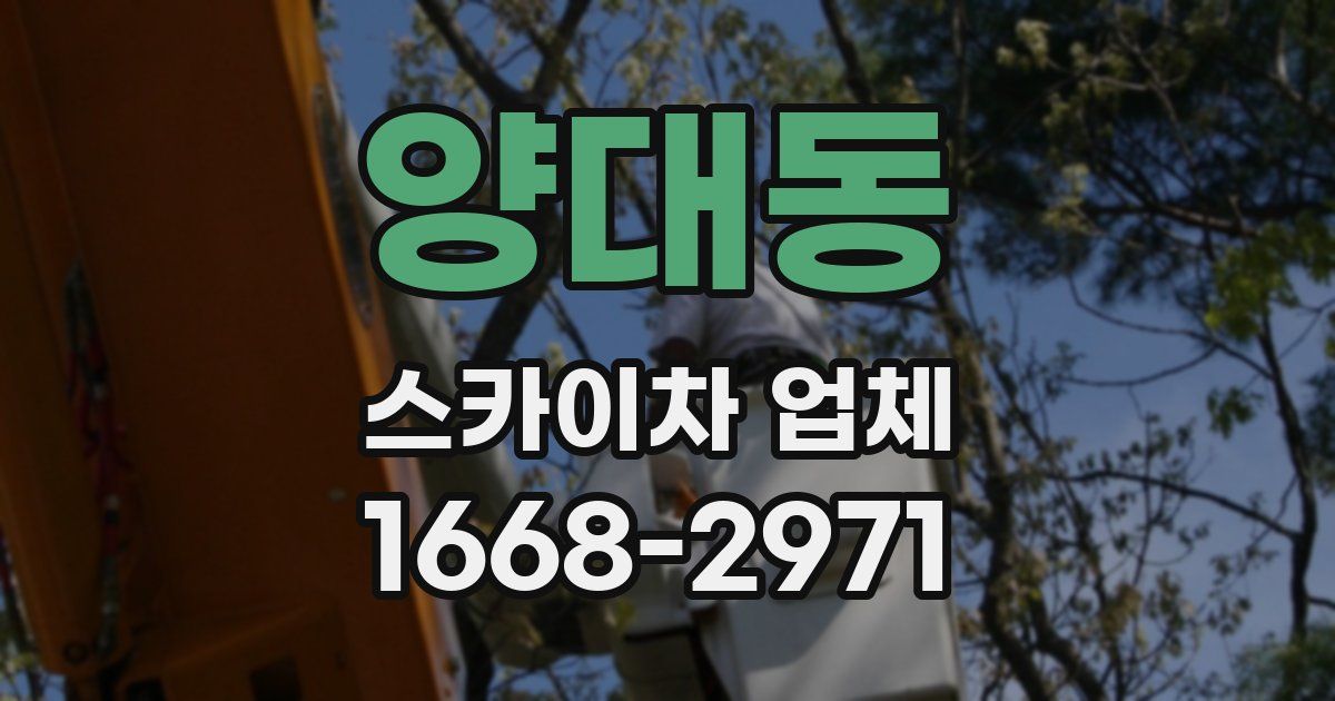 양대동 스카이차 업체
