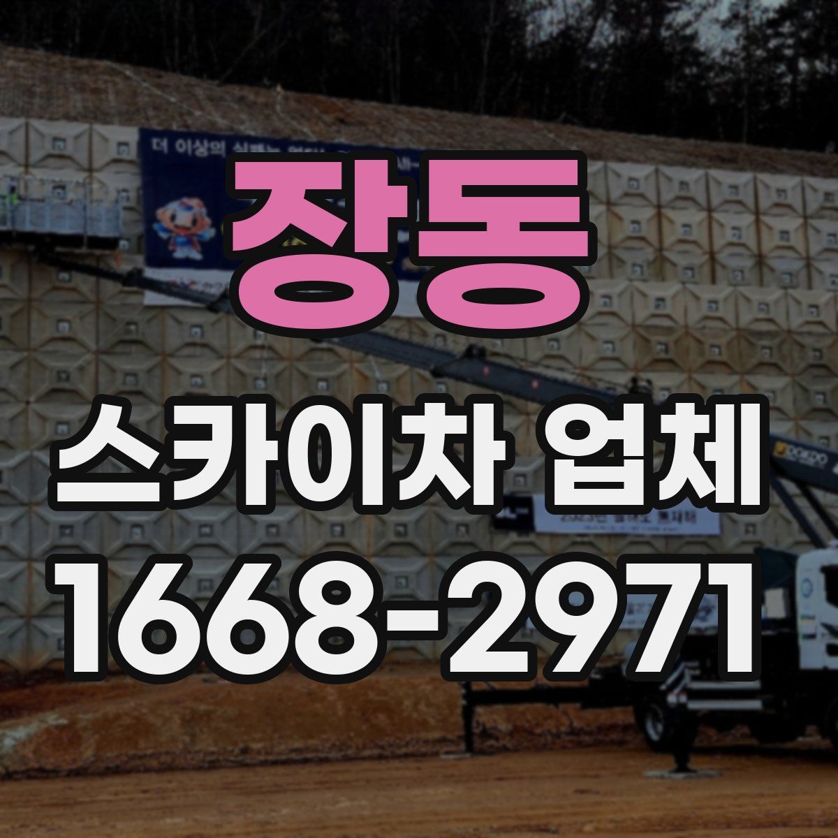 장동 스카이차 업체