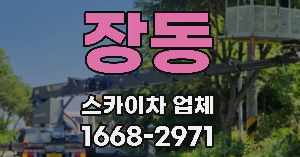 장동 스카이차 업체