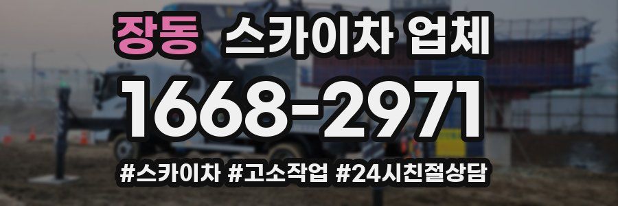 장동 스카이차 업체