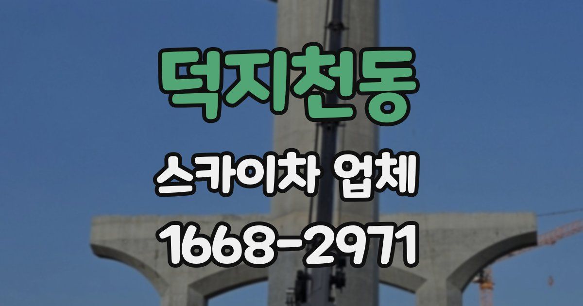 덕지천동 스카이차 업체