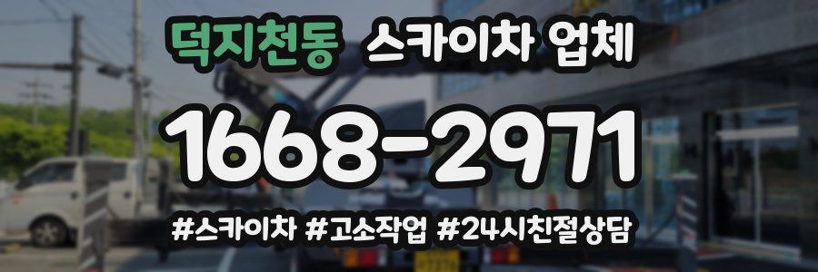 덕지천동 스카이차 업체