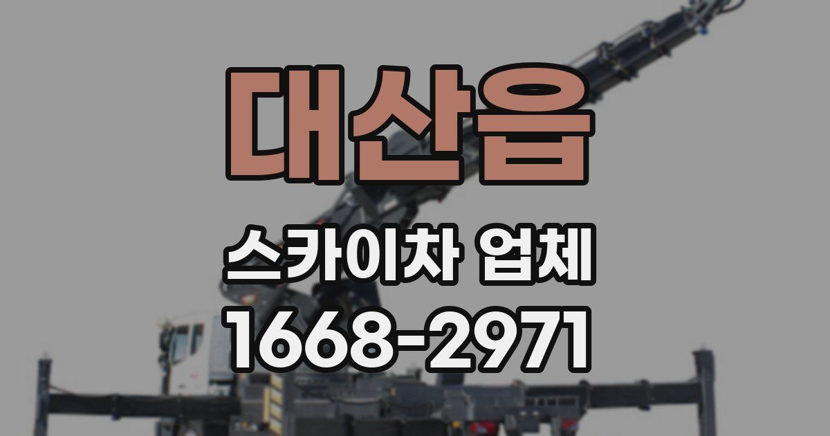대산읍 스카이차 업체