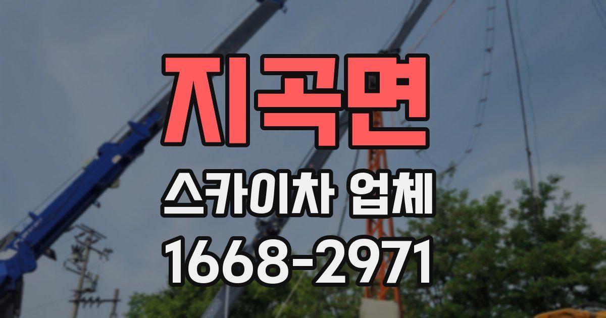 지곡면 스카이차 업체