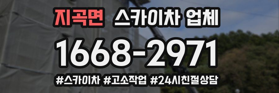 지곡면 스카이차 업체