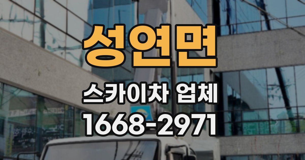 성연면 스카이차 업체