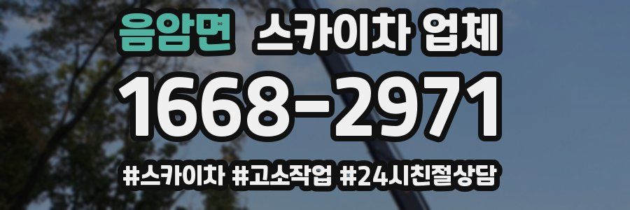 음암면 스카이차 업체