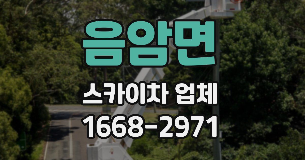 음암면 스카이차 업체