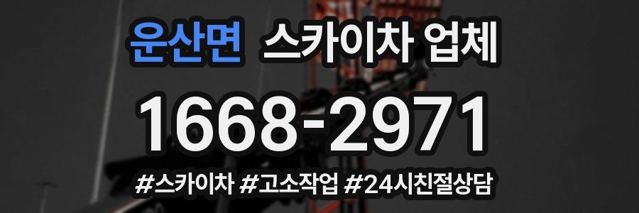 운산면 스카이차 업체