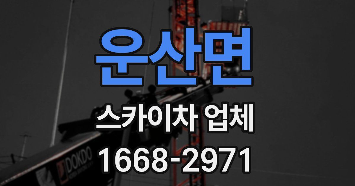 운산면 스카이차 업체