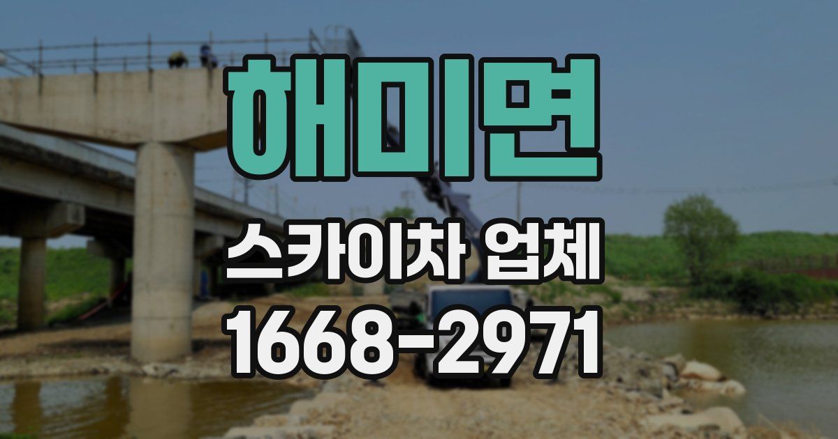 해미면 스카이차 업체