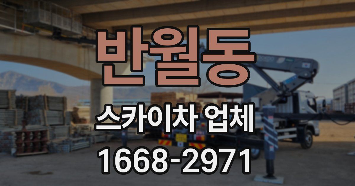 반월동 스카이차 업체