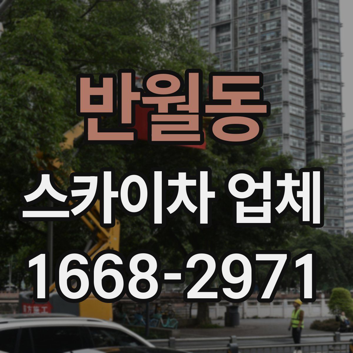반월동 스카이차 업체