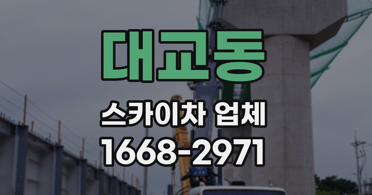 대교동 스카이차 업체