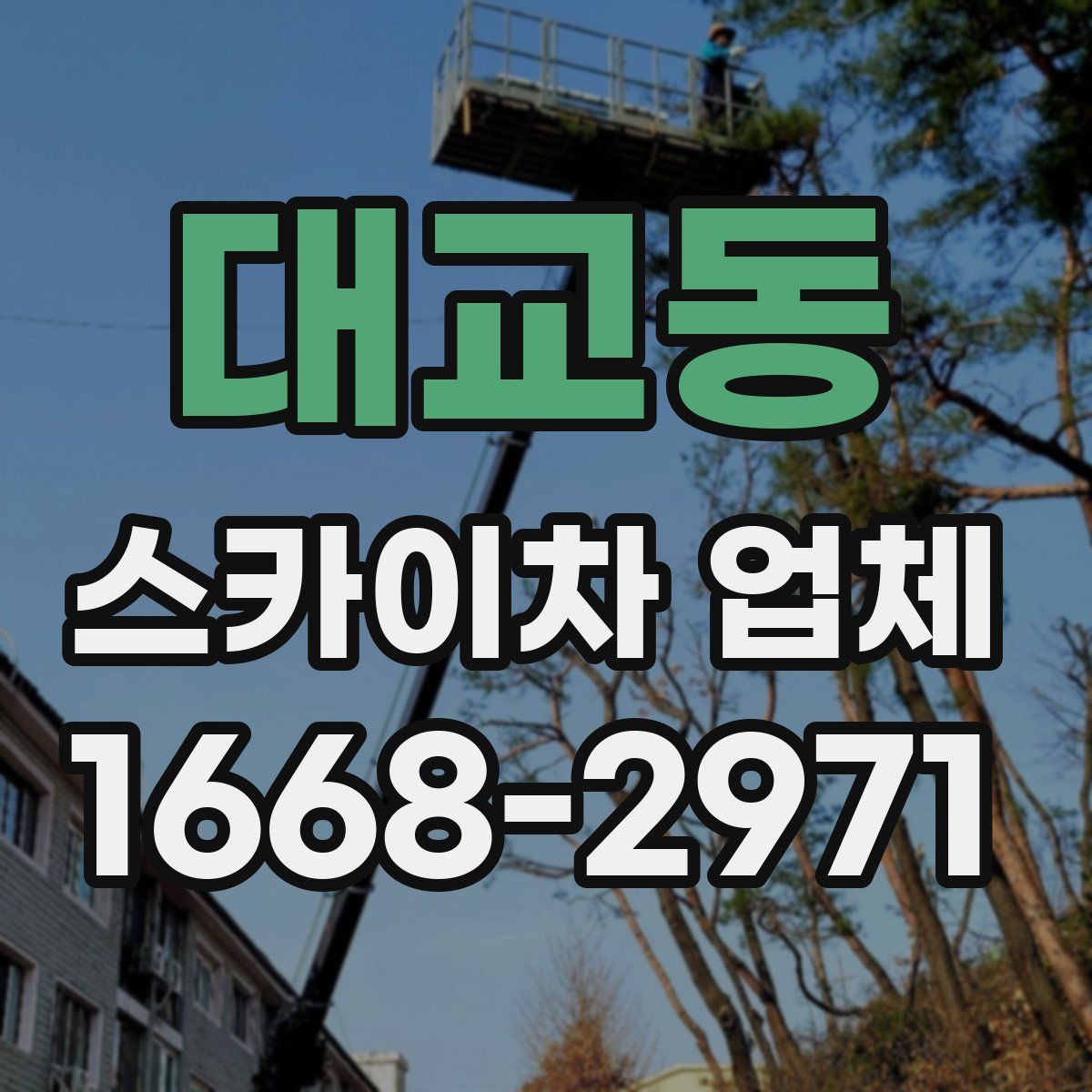 대교동 스카이차 업체
