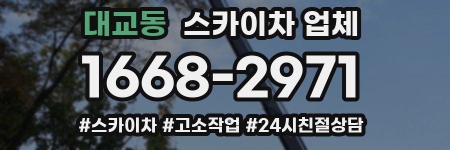 대교동 스카이차 업체