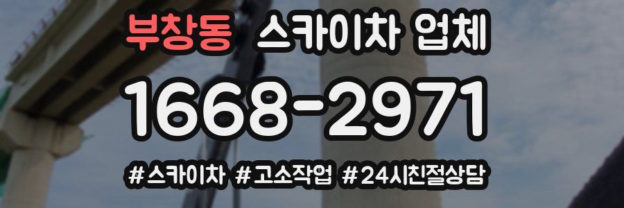 부창동 스카이차 업체
