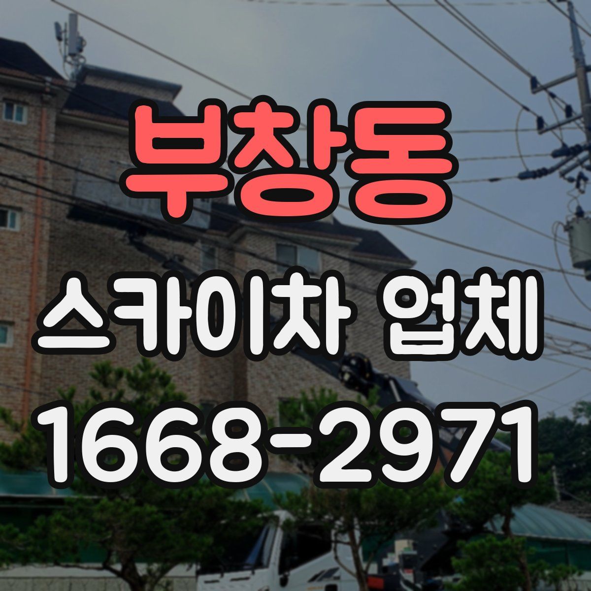 부창동 스카이차 업체