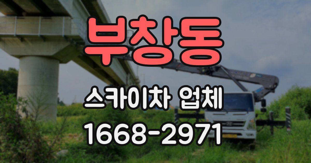 부창동 스카이차 업체