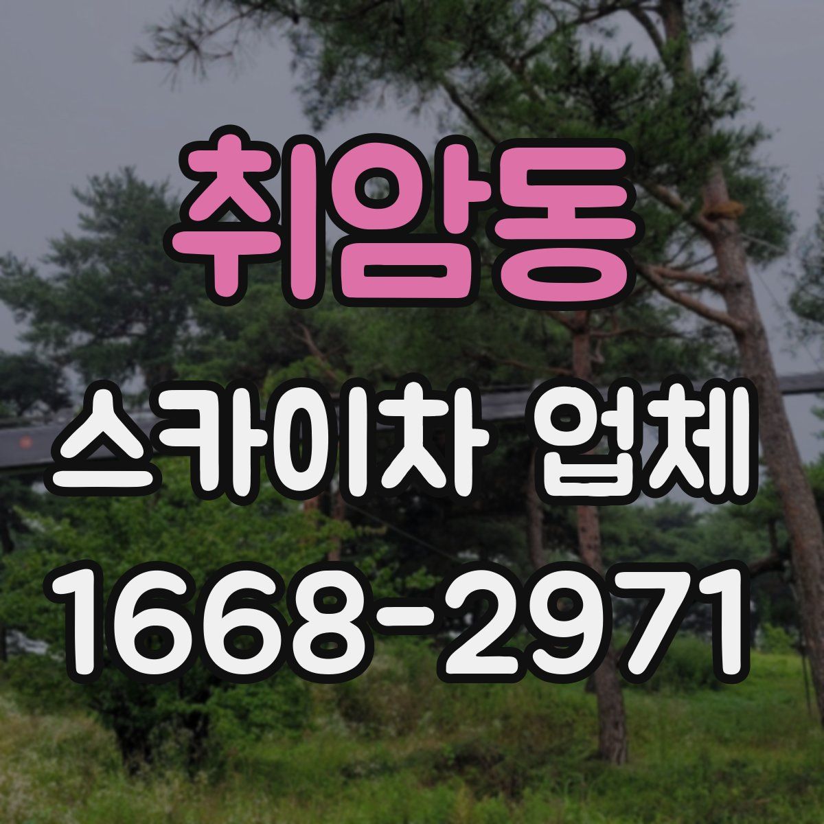 취암동 스카이차 업체
