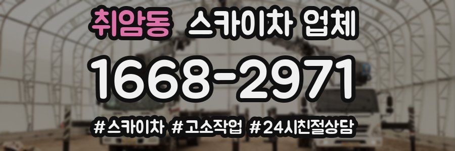 취암동 스카이차 업체
